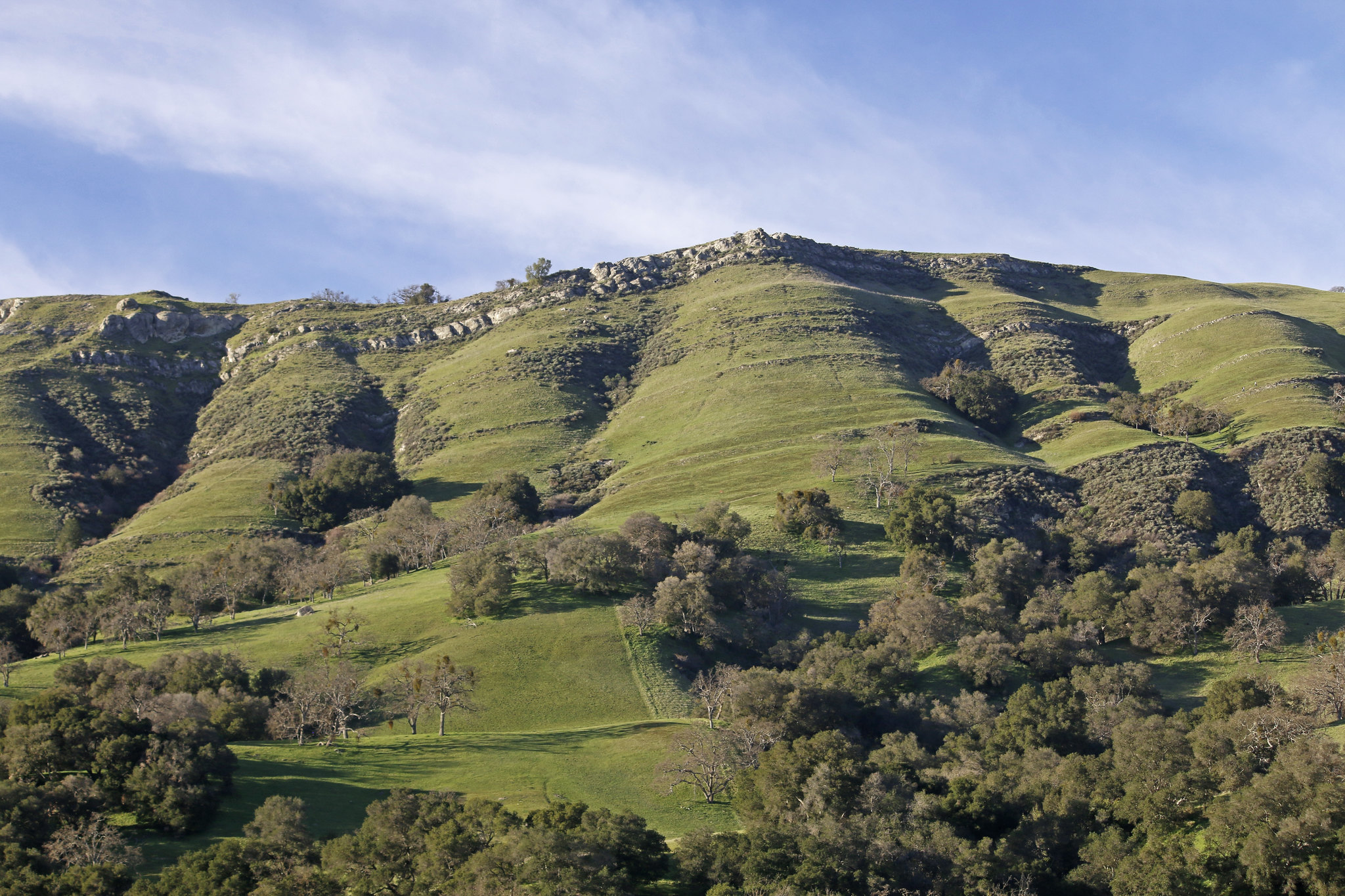 Rocky hills with trees and grass