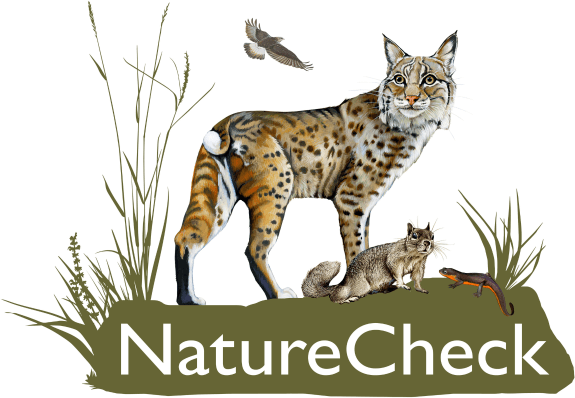 Nature Check logo