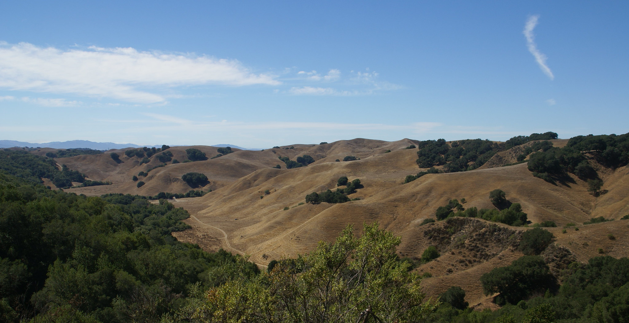 Briones Park hills and blue skies