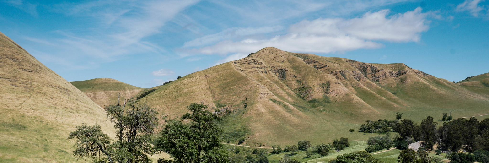 Trees in the foreground, tall grassy hills and blue skies in the background