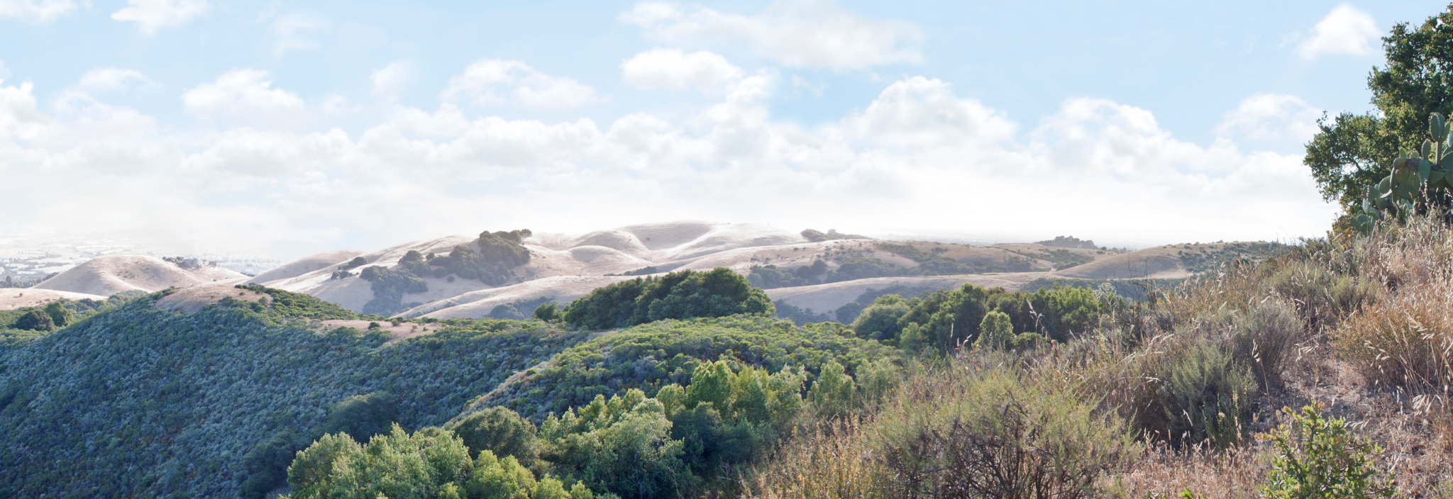Distance view of rolling hills and foggy blue skies