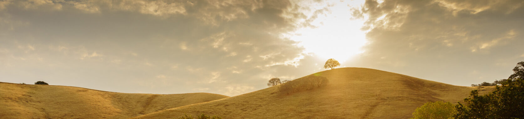 sun over grassy peak