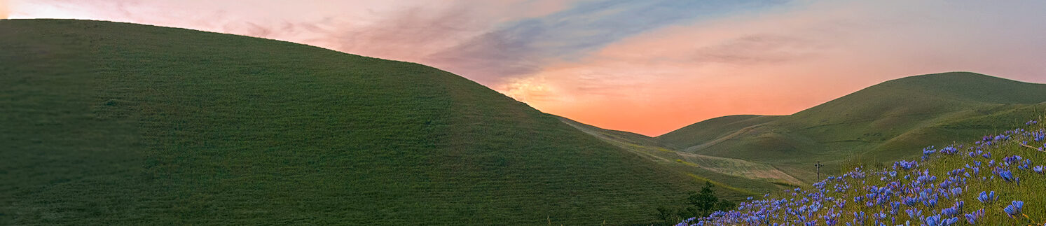 sunrise over green hills